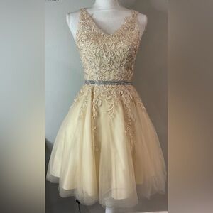 Dancing Queen Floral Lace Embellished Skater Cocktail Dress Champagne/Gold XS